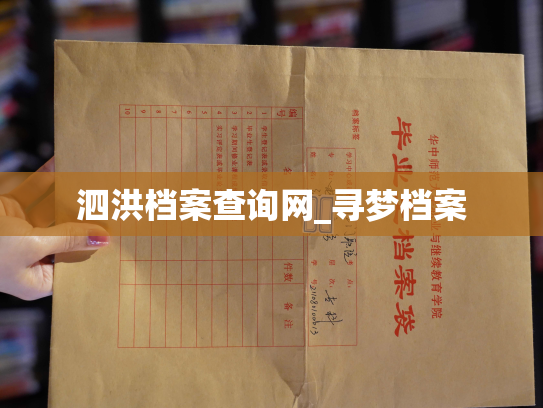 泗洪档案查询网_寻梦档案