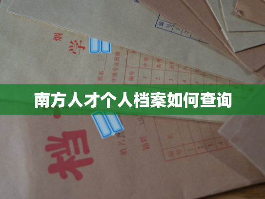南方人才个人档案如何查询