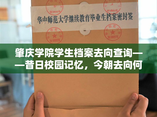 肇庆学院学生档案去向查询——昔日校园记忆，今朝去向何方