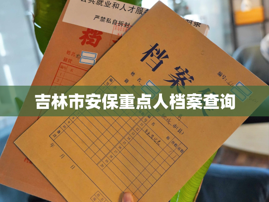 吉林市安保重点人档案查询