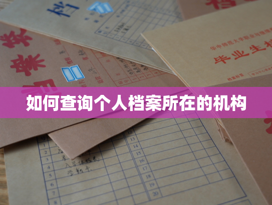如何查询个人档案所在的机构