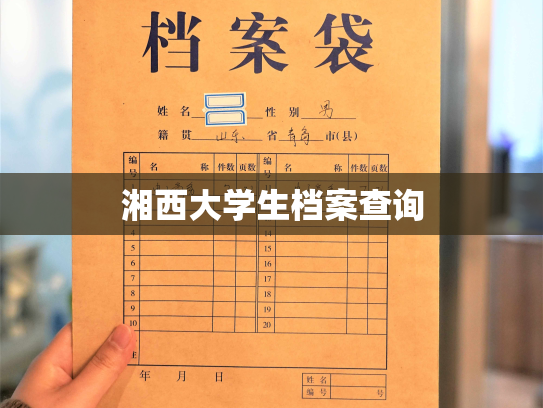 湘西大学生档案查询