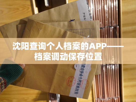 沈阳查询个人档案的APP——档案调动保存位置