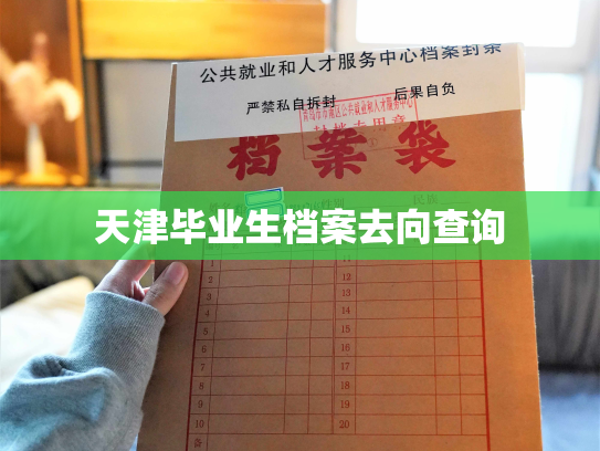 天津毕业生档案去向查询