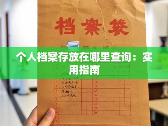 个人档案存放在哪里查询：实用指南