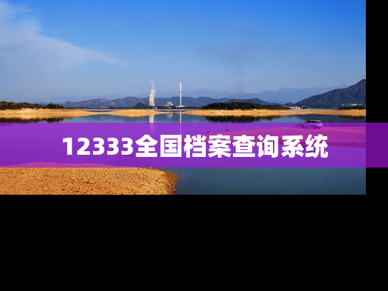 12333全国档案查询系统