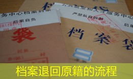 档案退回原籍的流程
