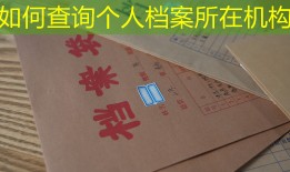 如何查询个人档案所在机构