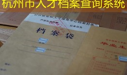 杭州市人才档案查询系统