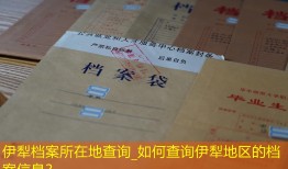 伊犁档案所在地查询_如何查询伊犁地区的档案信息？
