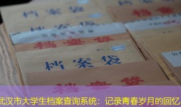 武汉市大学生档案查询系统：记录青春岁月的回忆