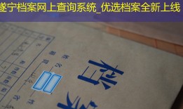 遂宁档案网上查询系统_优选档案全新上线