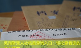 芜湖智慧人社档案查询入口：轻松查看您的个人档案
