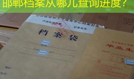 邯郸档案从哪儿查询进度？