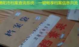 德阳市档案查询系统：一键畅享档案信息洪流