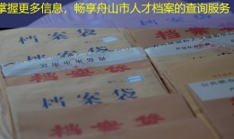 掌握更多信息，畅享舟山市人才档案的查询服务
