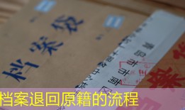 档案退回原籍的流程
