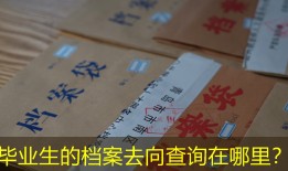 毕业生的档案去向查询在哪里？