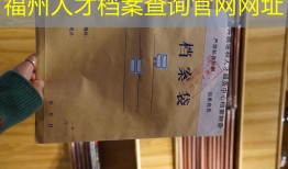 福州人才档案查询官网网址