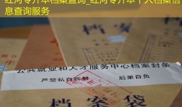 红河专升本档案查询_红河专升本个人档案信息查询服务
