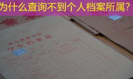 为什么查询不到个人档案所属？