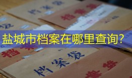 盐城市档案在哪里查询？