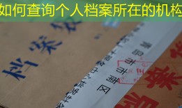 如何查询个人档案所在的机构