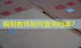 编制教师如何查询档案？
