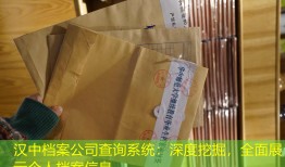 汉中档案公司查询系统：深度挖掘，全面展示个人档案信息