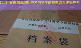 学籍档案查询系统用户名与学生信息查询系统账户名