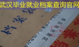 武汉毕业就业档案查询官网
