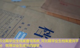 河北籍毕业生档案查询系统_河北籍毕业生档案查询平台：找寻毕业生成长的脚步