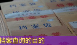 档案查询的目的