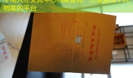 平南人才交流中心档案查询：方便查询个人档案的平台