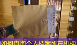 如何查询个人档案所在机构