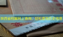 陕西省档案网上查询，轻松查询历史信息