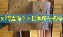 如何查询个人档案所在机构