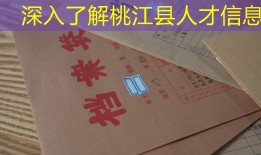深入了解桃江县人才信息