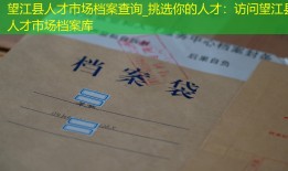 望江县人才市场档案查询_挑选你的人才：访问望江县人才市场档案库