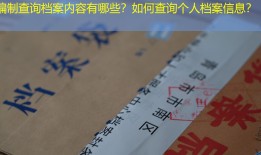 编制查询档案内容有哪些？如何查询个人档案信息？