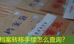 档案转移手续怎么查询？