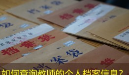 如何查询教师的个人档案信息？