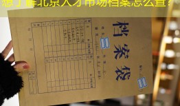 想了解北京人才市场档案怎么查？