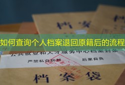 如何查询个人档案退回原籍后的流程
