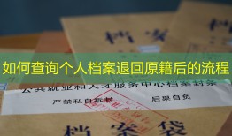如何查询个人档案退回原籍后的流程