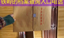 铁岭的档案查询入口电话