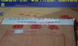档案查询+公函：掌握个人信息，信函传递信息