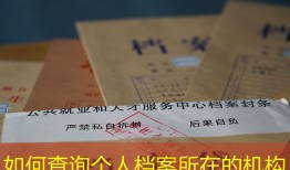 如何查询个人档案所在的机构