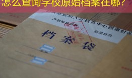 怎么查询学校原始档案在哪？