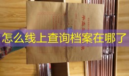 怎么线上查询档案在哪了